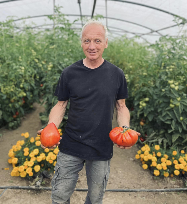 magnifique-tomates
